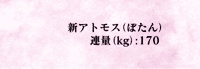 シンアトモス ぼたん